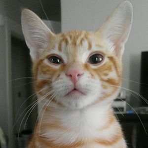 Meet your Posher, Isela